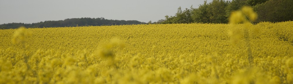 faetterfoto.dk